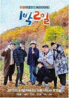 81影院综艺 声生不息